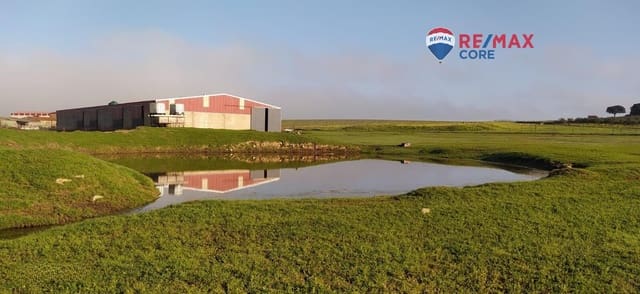 Terreno/Finca Rústica en Brozas en venta - 290.000 € (Ref: 9474198)