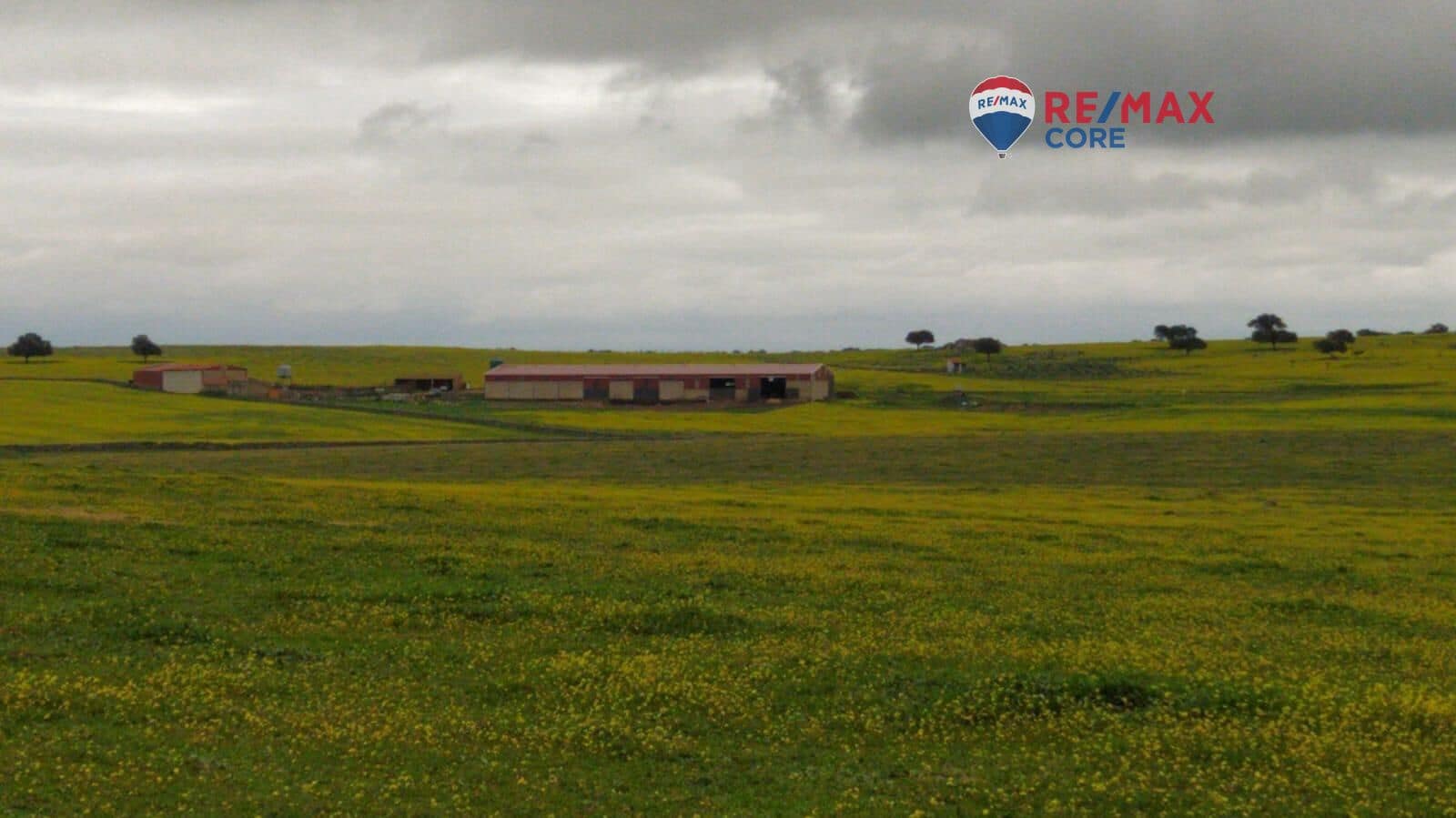 Terreno/Finca Rústica en Brozas en venta - 290.000 € (Ref: 9474198)