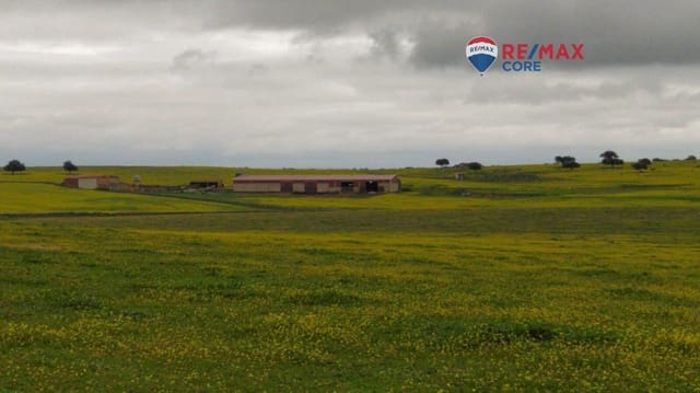 Terreno/Finca Rústica en Brozas en venta - 290.000 € (Ref: 9474198)