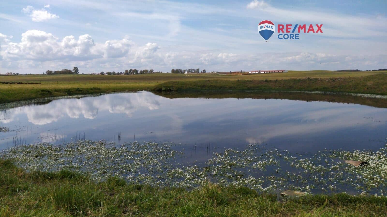 Terreno/Finca Rústica en Brozas en venta - 290.000 € (Ref: 9474198)