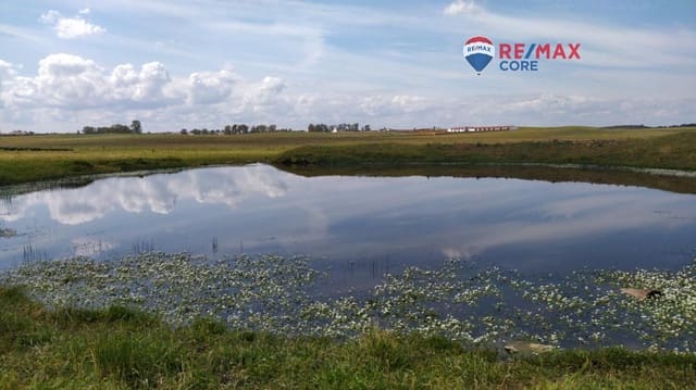 Terreno/Finca Rústica en Brozas en venta - 290.000 € (Ref: 9474198)