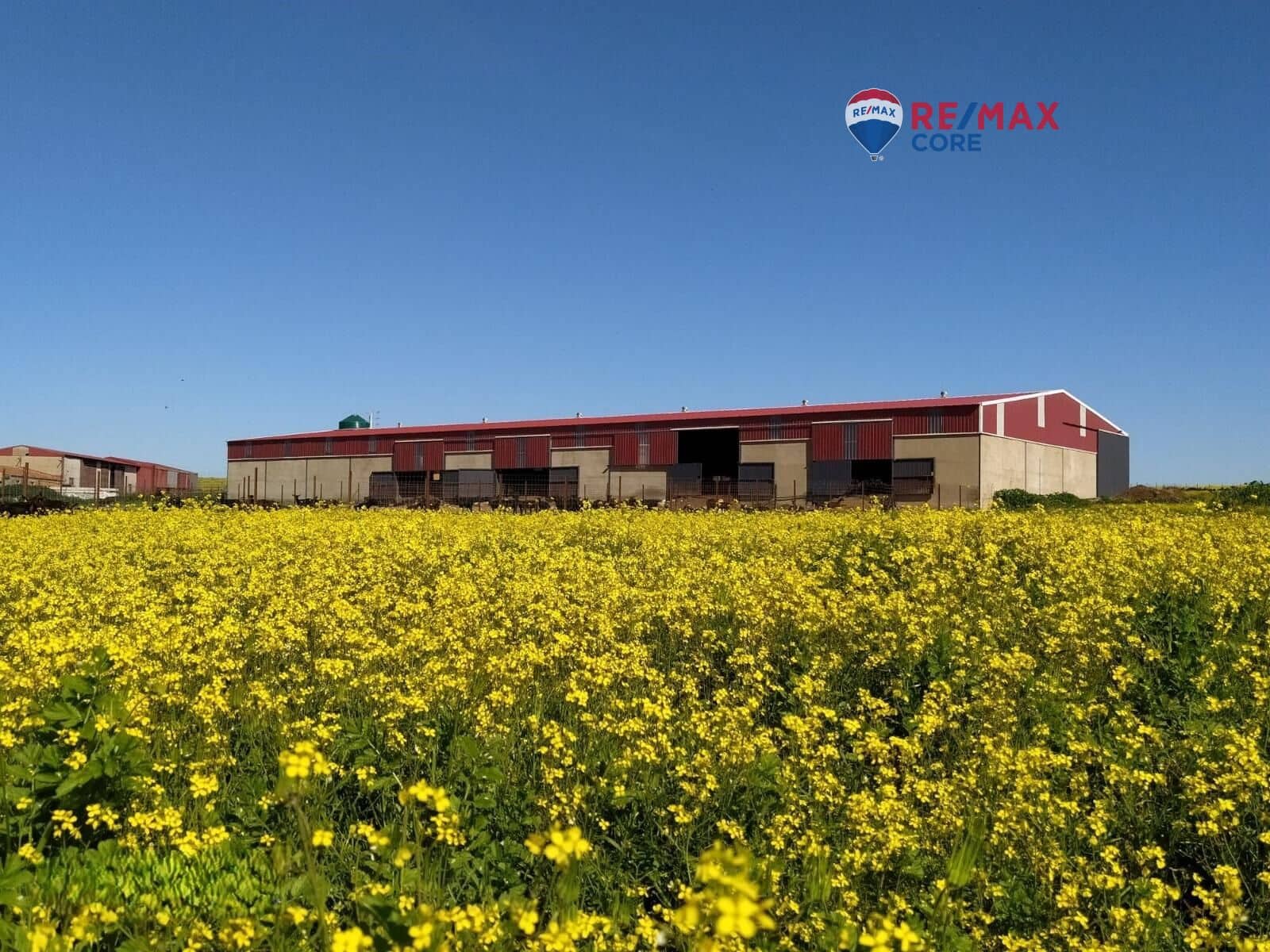 Terreno/Finca Rústica en Brozas en venta - 290.000 € (Ref: 9474198)