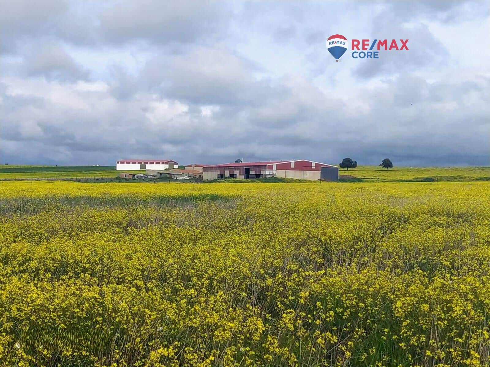 Terreno/Finca Rústica en Brozas en venta - 290.000 € (Ref: 9474198)