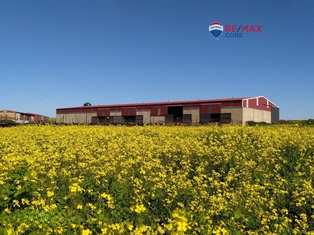 Terreno/Finca Rústica en Brozas en venta - 290.000 € (Ref: 9474198)