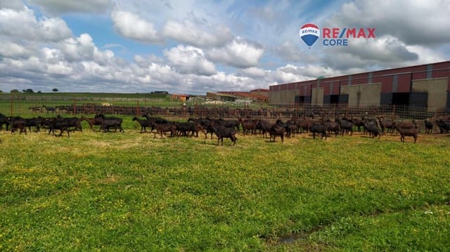 Terreno/Finca Rústica en Brozas en venta - 290.000 € (Ref: 9474198)