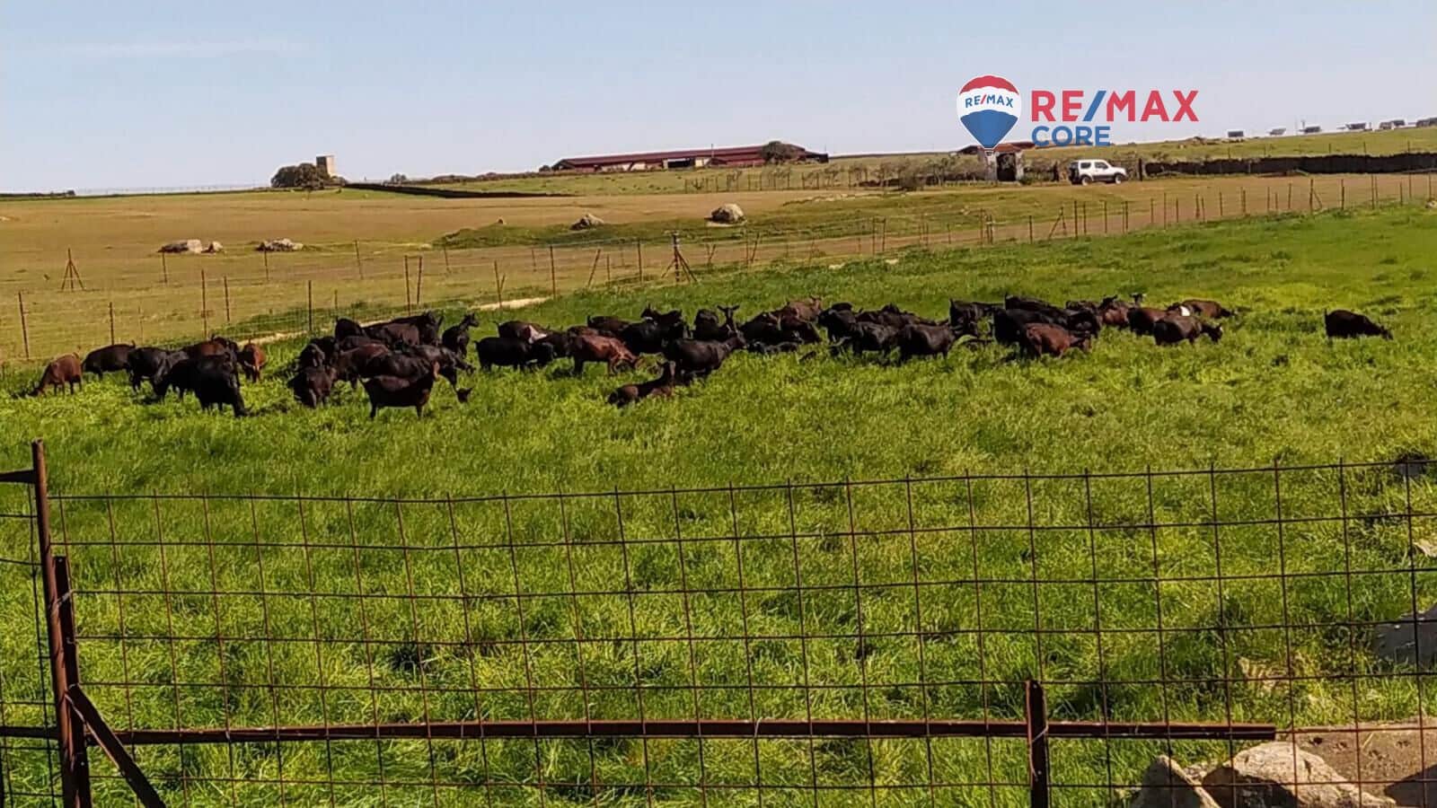 Terreno/Finca Rústica en Brozas en venta - 290.000 € (Ref: 9474198)