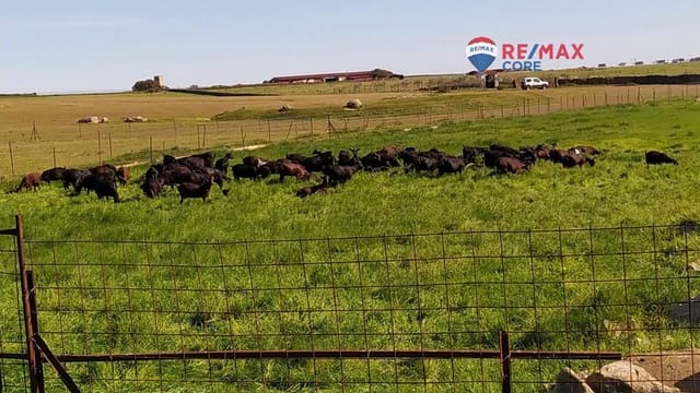 Terreno/Finca Rústica en Brozas en venta - 290.000 € (Ref: 9474198)