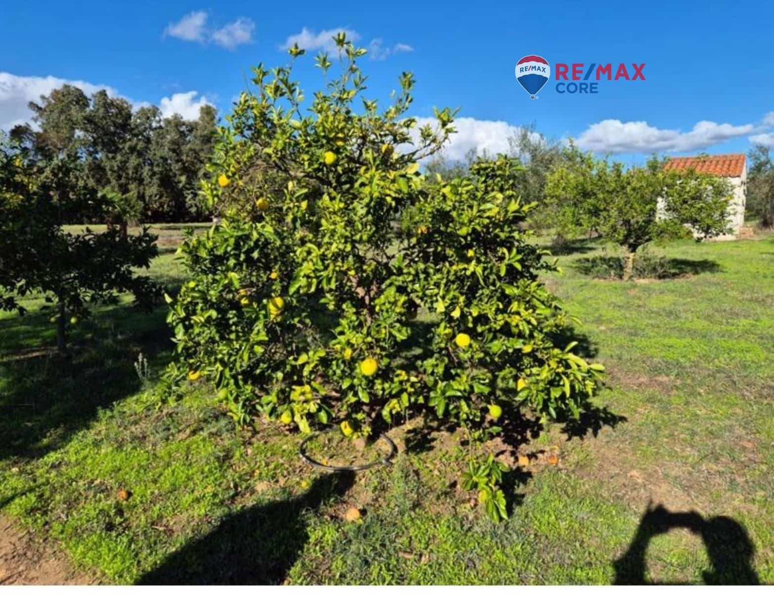 3 makuuhuone Maalaistalo myytävänä paikassa Badajoz kaupunki - 195 000 € (Ref: 9527688)