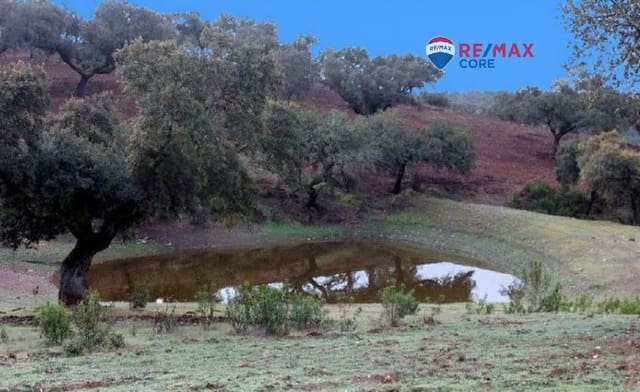 Teren niezagospodarowany na sprzedaż w Miasto Badajoz - 4 990 000 € (Ref: 9533739)