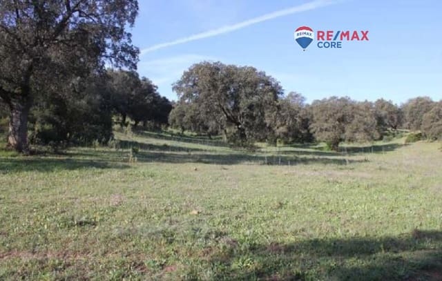 Teren niezagospodarowany na sprzedaż w Miasto Badajoz - 4 990 000 € (Ref: 9533739)