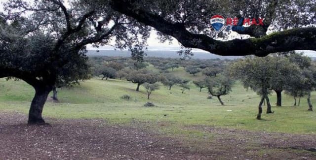 Teren niezagospodarowany na sprzedaż w Miasto Badajoz - 4 990 000 € (Ref: 9533739)