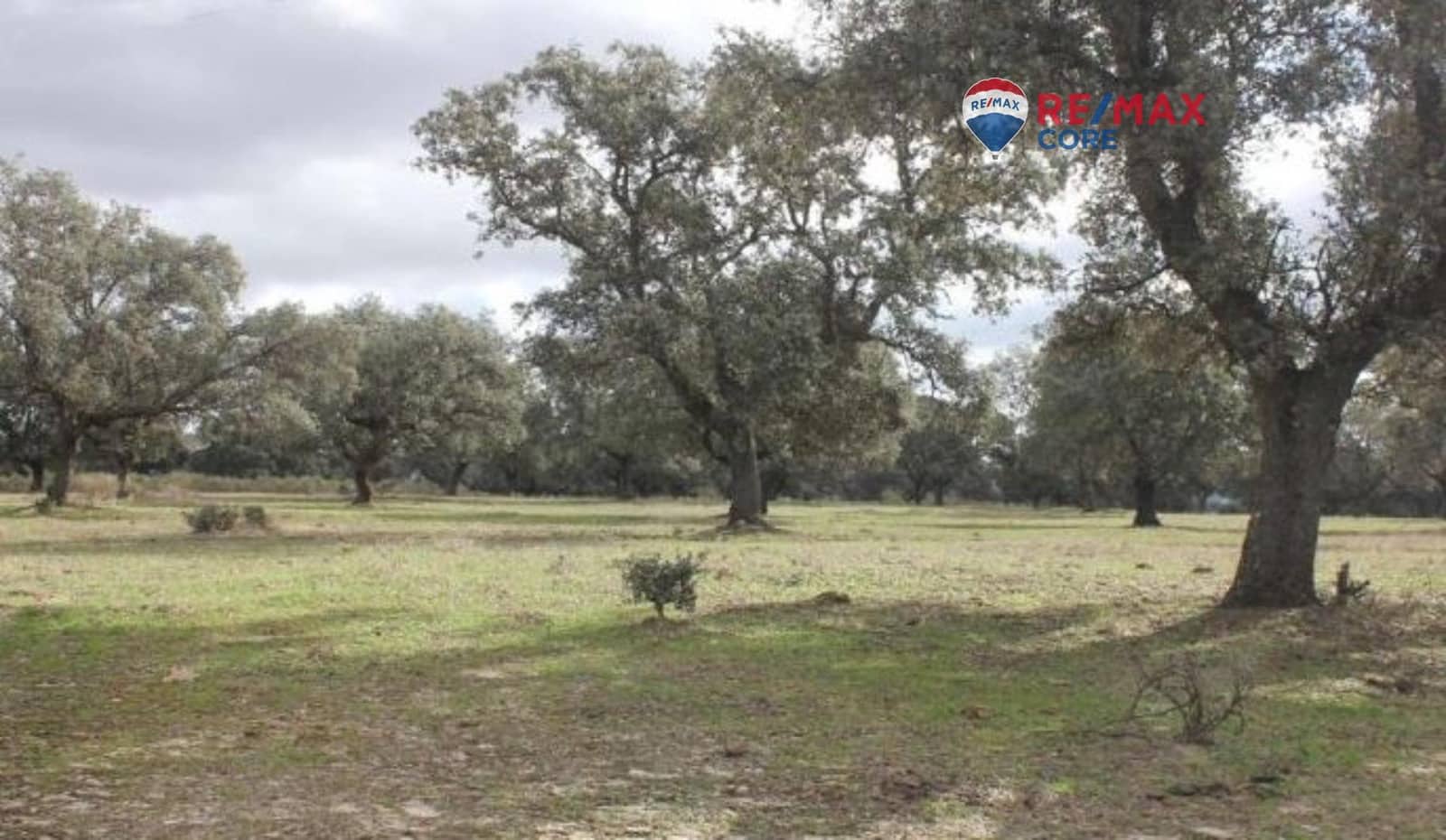 Undeveloped Land for sale in Badajoz city - € 4,990,000 (Ref: 9533739)