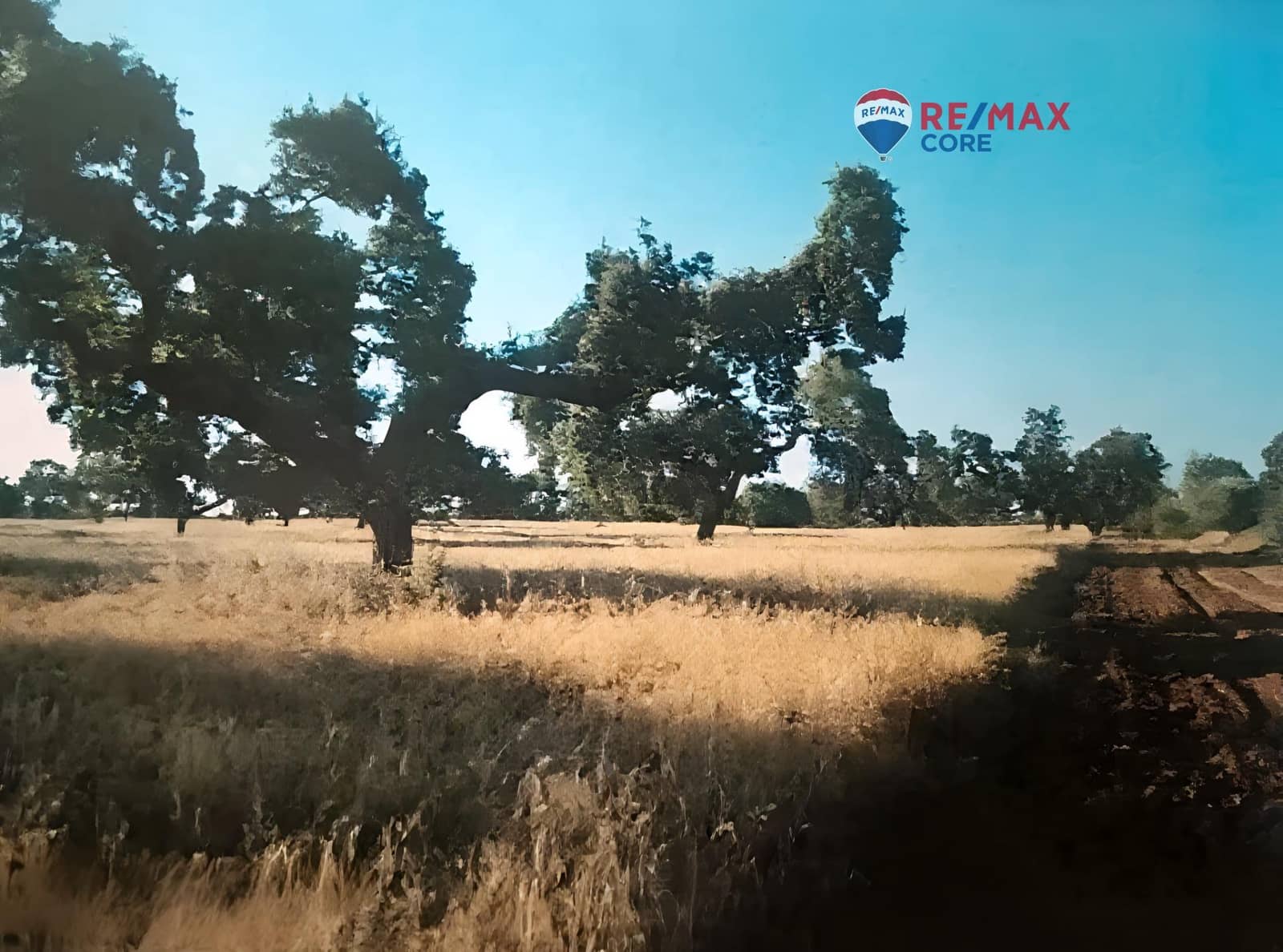 Undeveloped Land for sale in Badajoz city - € 4,990,000 (Ref: 9533739)