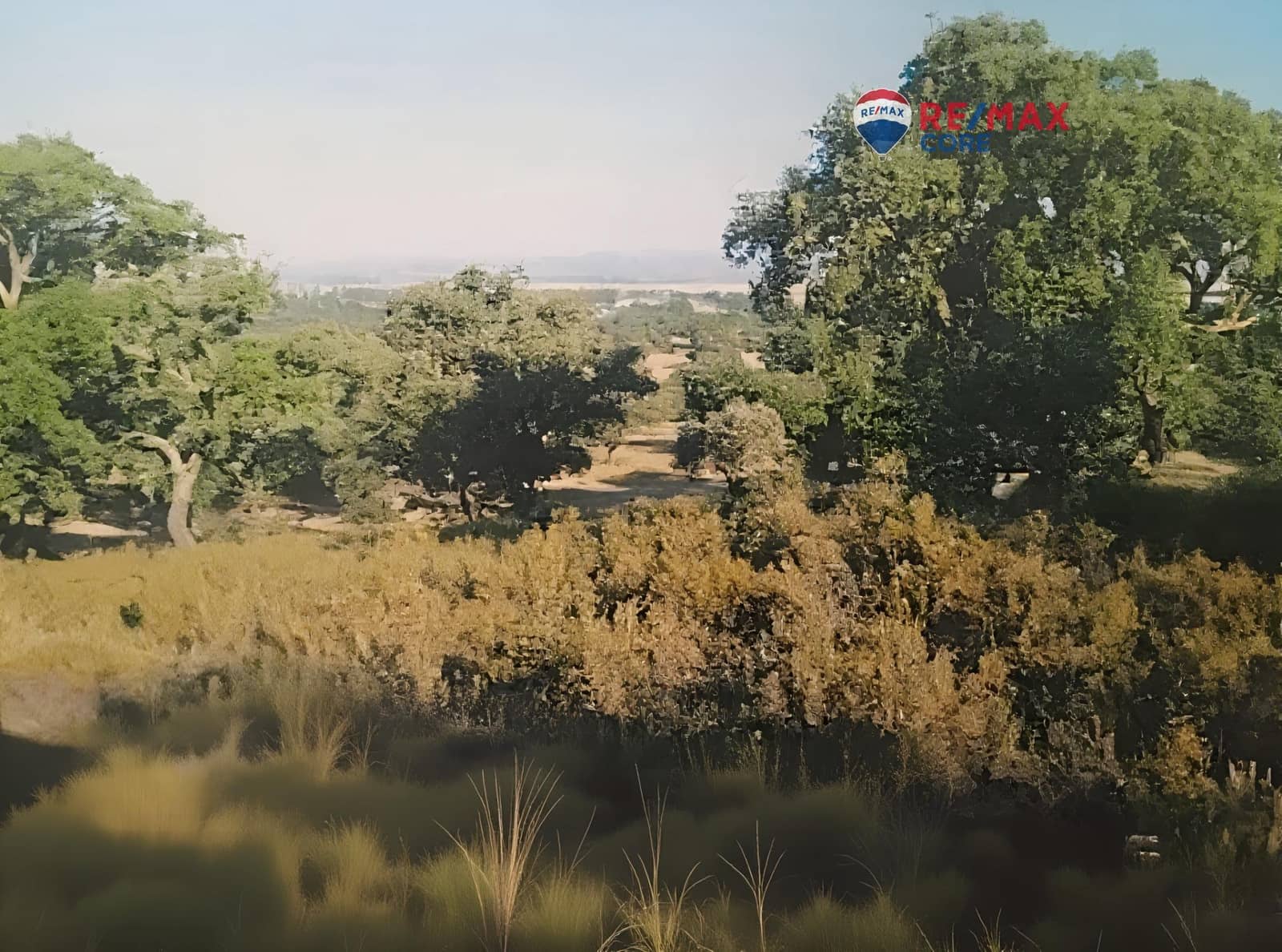 Undeveloped Land for sale in Badajoz city - € 4,990,000 (Ref: 9533739)