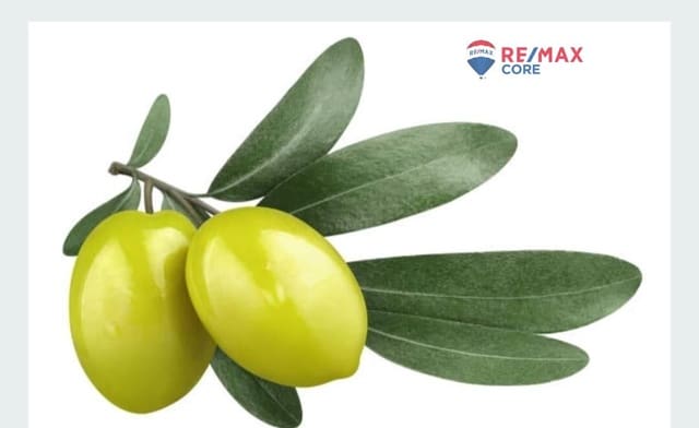 Undeveloped Land for sale in Torre de Miguel Sesmero - € 239,575 (Ref: 9551498)