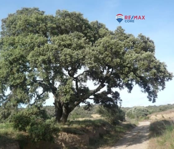 Terreno/Finca Rústica en La Roca de la Sierra en venta - 390.000 € (Ref: 9551499)