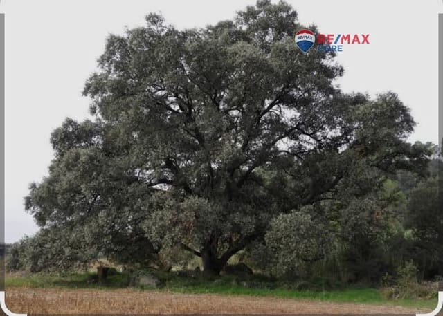 Terreno/Finca Rústica en La Roca de la Sierra en venta - 390.000 € (Ref: 9551499)