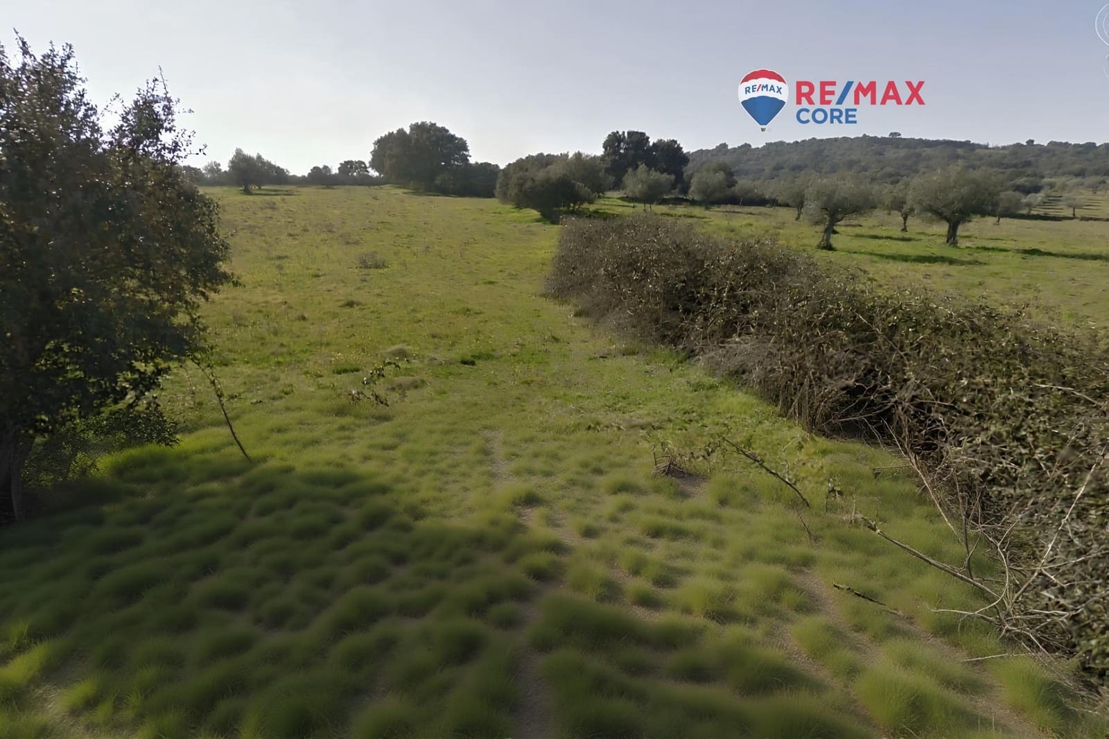 Ubebygd land til salgs i Puerto de Santa Cruz - € 18 000 (Ref: 9555838)