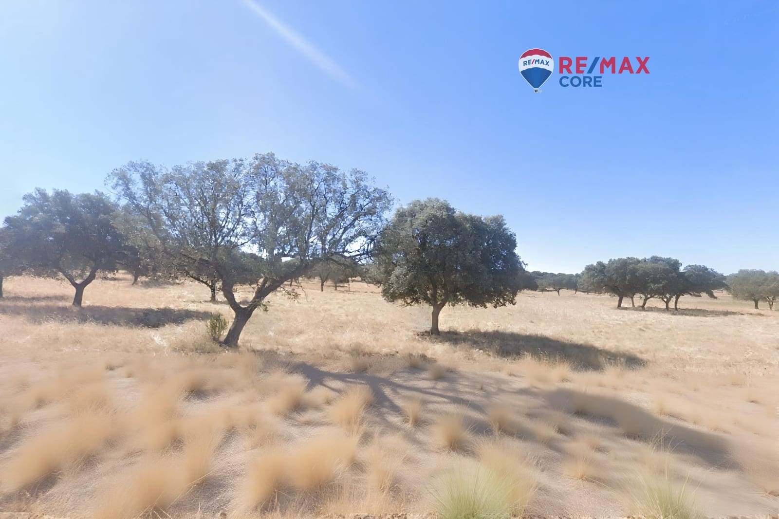 Ubebygd land til salgs i Puerto de Santa Cruz - € 18 000 (Ref: 9555838)