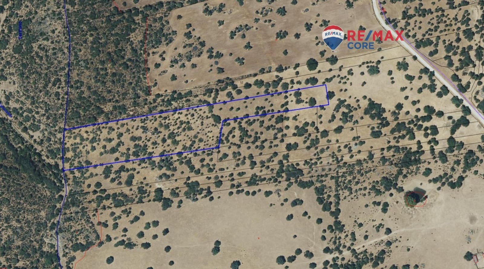 Ubebygd land til salgs i Puerto de Santa Cruz - € 18 000 (Ref: 9555838)