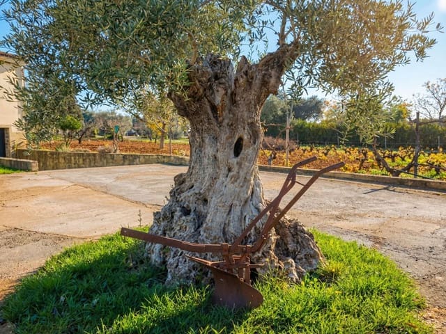 5 slaapkamer Villa te koop in Dehesilla de Calamón - Campomanes, Badajoz stad met garage - € 315.000 (Ref: 9565249)