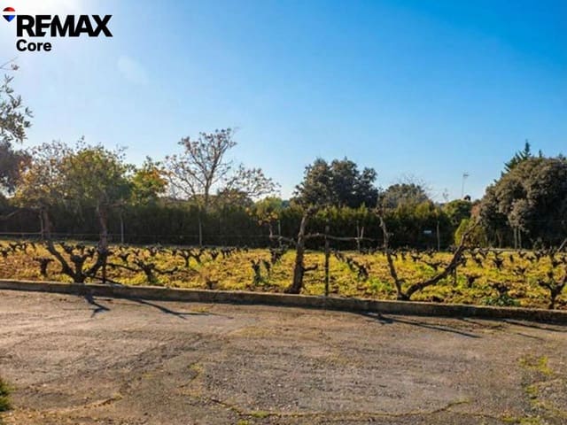 Chalet de 5 habitaciones en Dehesilla de Calamón - Campomanes, Badajoz ciudad en venta con garaje - 315.000 € (Ref: 9565249)