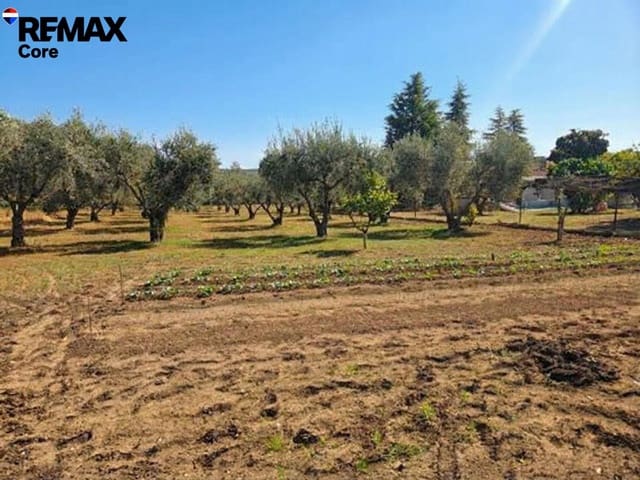 Chalet de 5 habitaciones en Dehesilla de Calamón - Campomanes, Badajoz ciudad en venta con garaje - 315.000 € (Ref: 9565249)