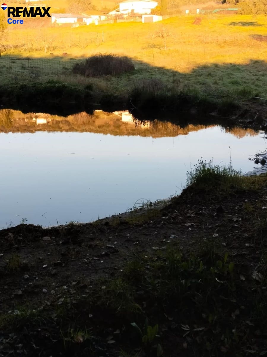 Ubebygd land til salgs i Jerez de los Caballeros - € 370 000 (Ref: 9659440)