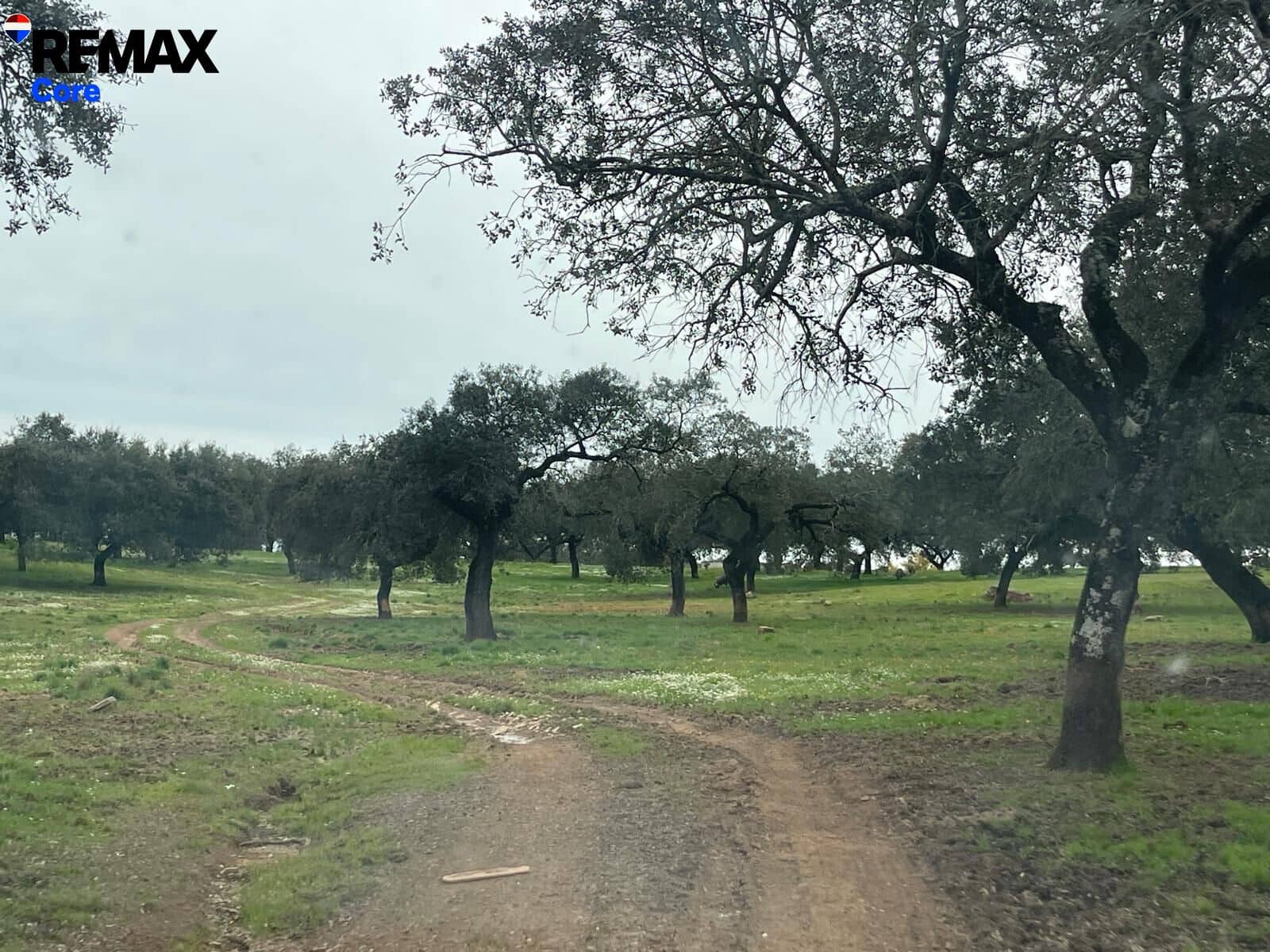 Ubebygd land til salgs i Jerez de los Caballeros - € 370 000 (Ref: 9659440)