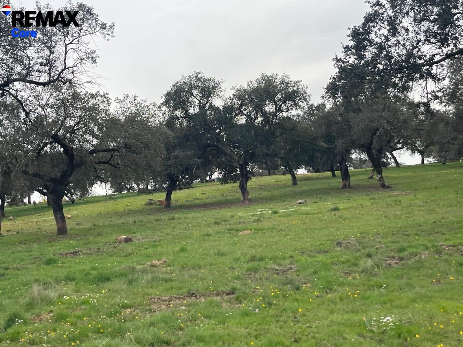 Ubebygd land til salgs i Jerez de los Caballeros - € 370 000 (Ref: 9659440)