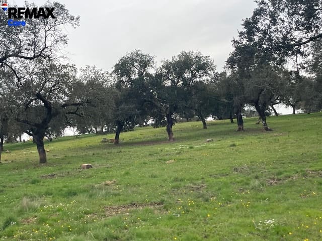 Mark till salu i Jerez de los Caballeros - 370 000 € (Ref: 9659440)