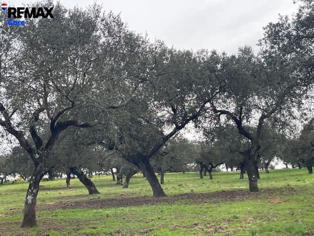 Mark till salu i Jerez de los Caballeros - 370 000 € (Ref: 9659440)