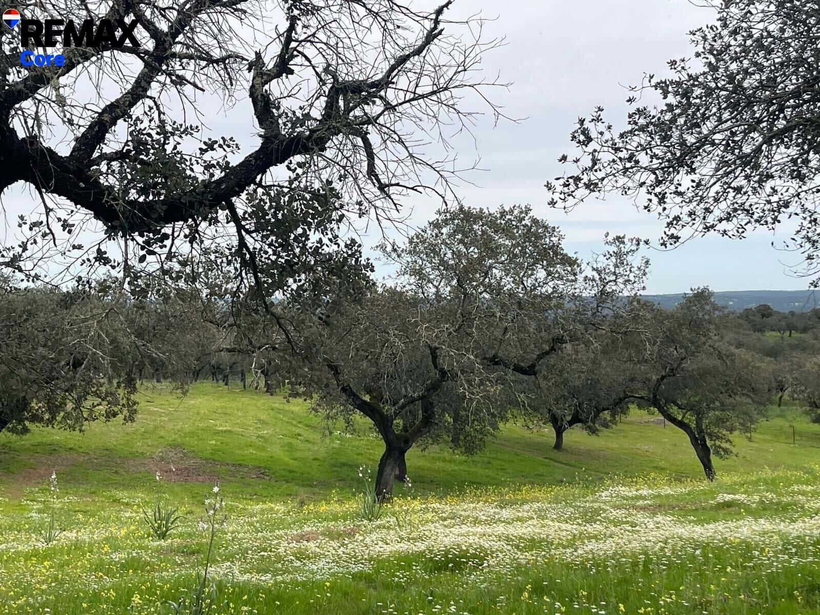 Ubebygd land til salgs i Jerez de los Caballeros - € 370 000 (Ref: 9659440)