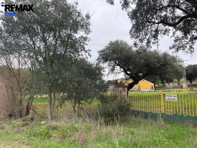 Mark till salu i Jerez de los Caballeros - 370 000 € (Ref: 9659440)