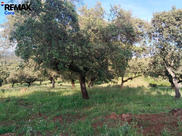 Mark till salu i Jerez de los Caballeros - 370 000 € (Ref: 9659440)