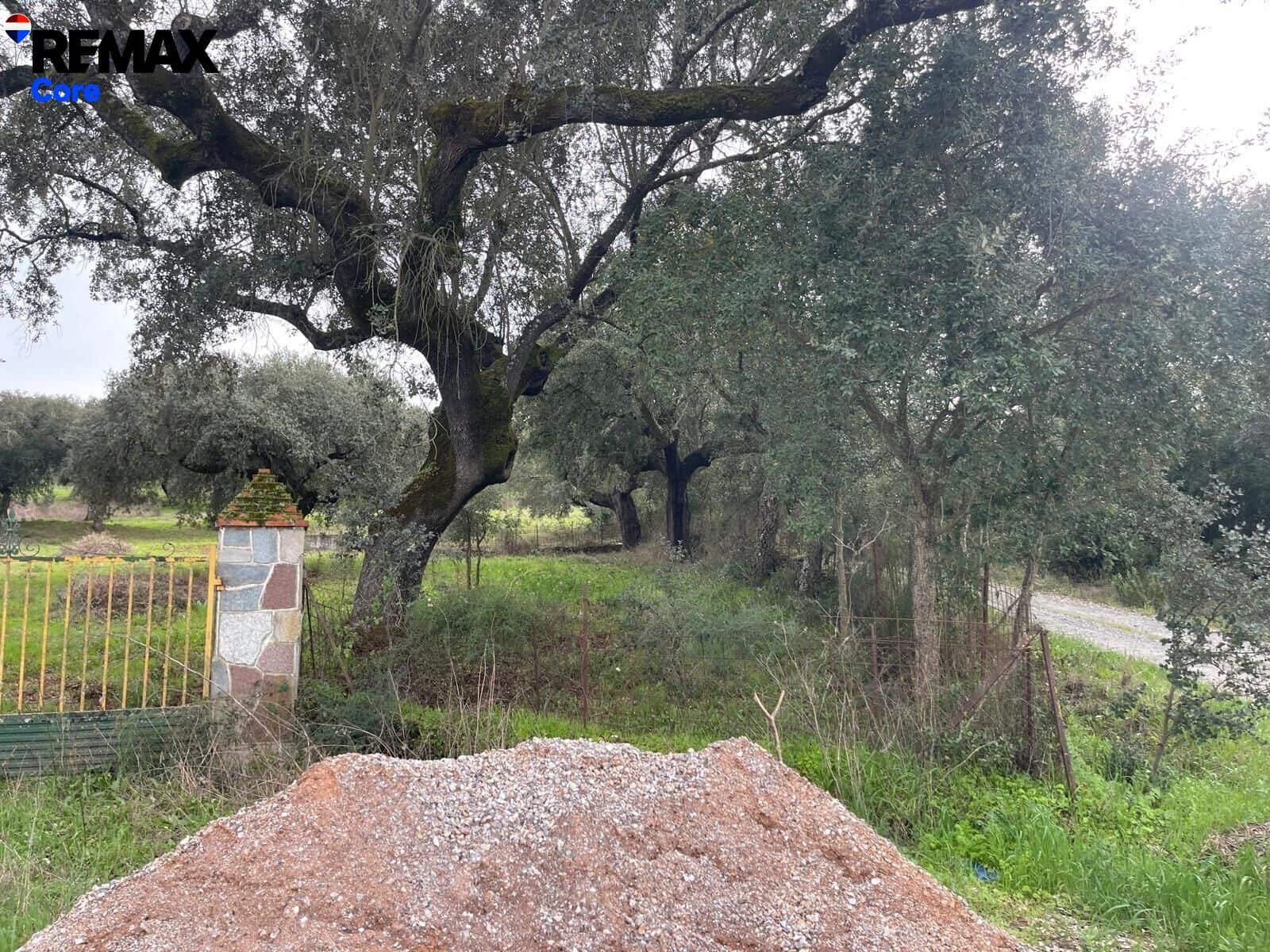 Ubebygd land til salgs i Jerez de los Caballeros - € 370 000 (Ref: 9659440)