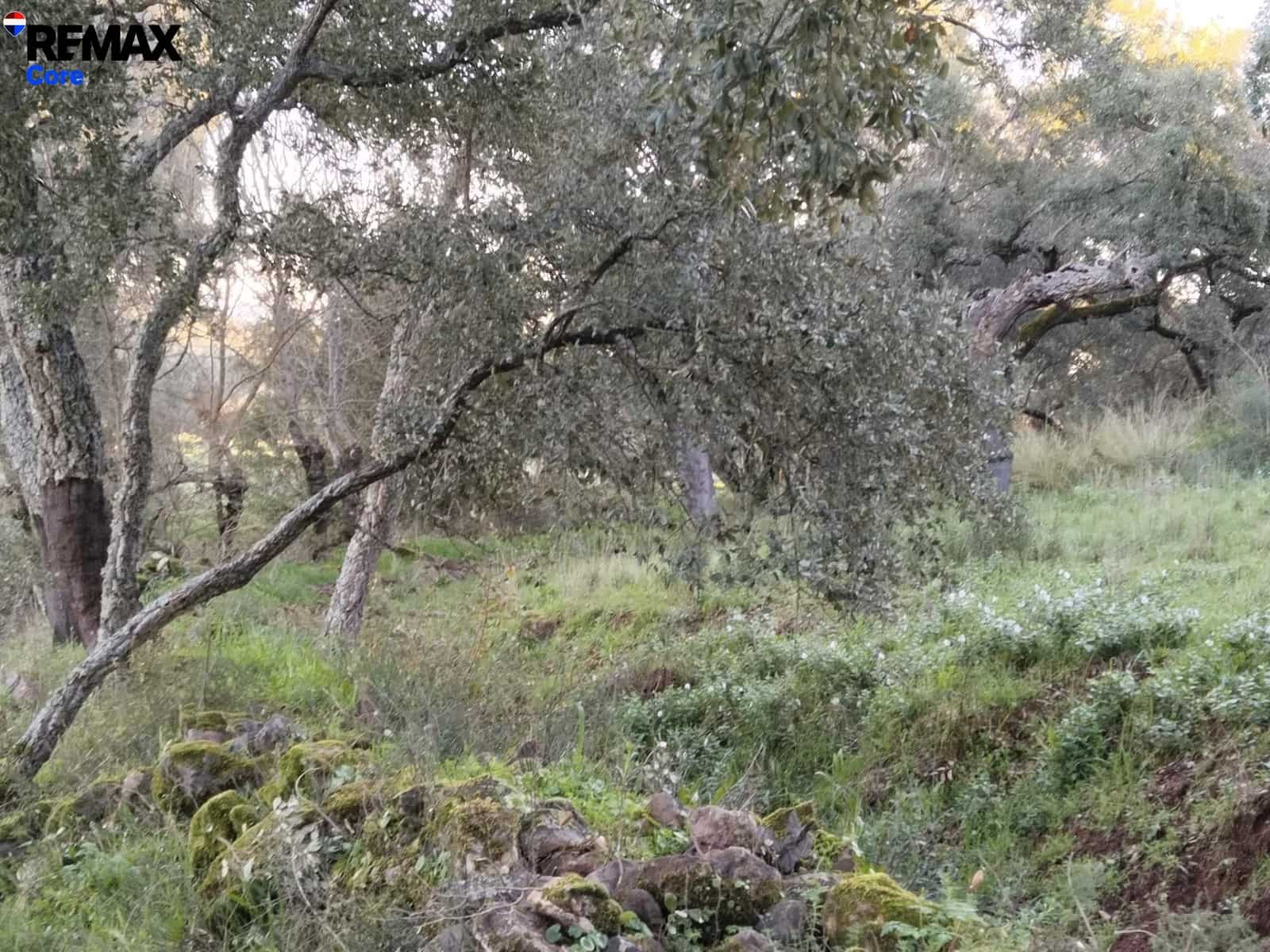 Ubebygd land til salgs i Jerez de los Caballeros - € 370 000 (Ref: 9659440)