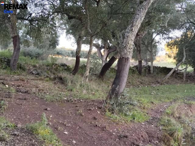 Mark till salu i Jerez de los Caballeros - 370 000 € (Ref: 9659440)