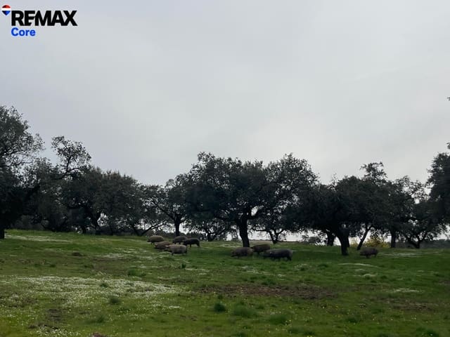 Grunde uden byggetilladelser til salg i Alconchel - € 339.900 (Ref: 9659441)