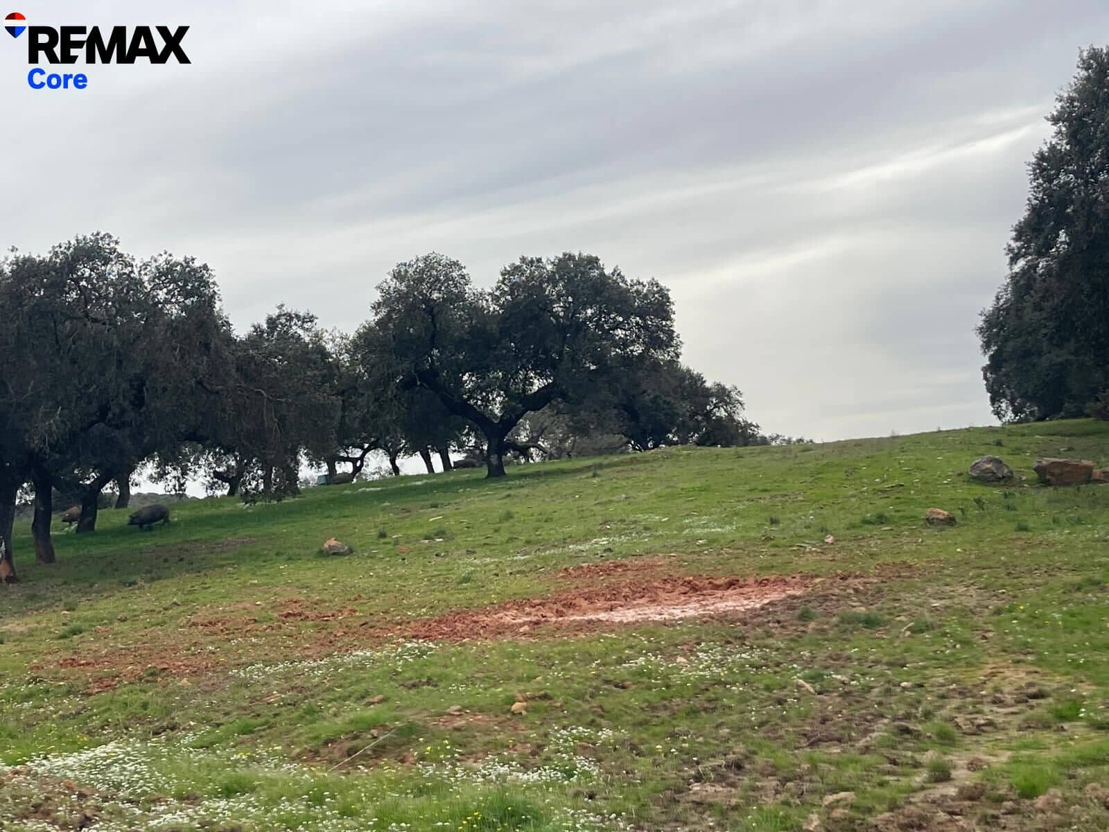 Ubebygd land til salgs i Alconchel - € 339 900 (Ref: 9659441)