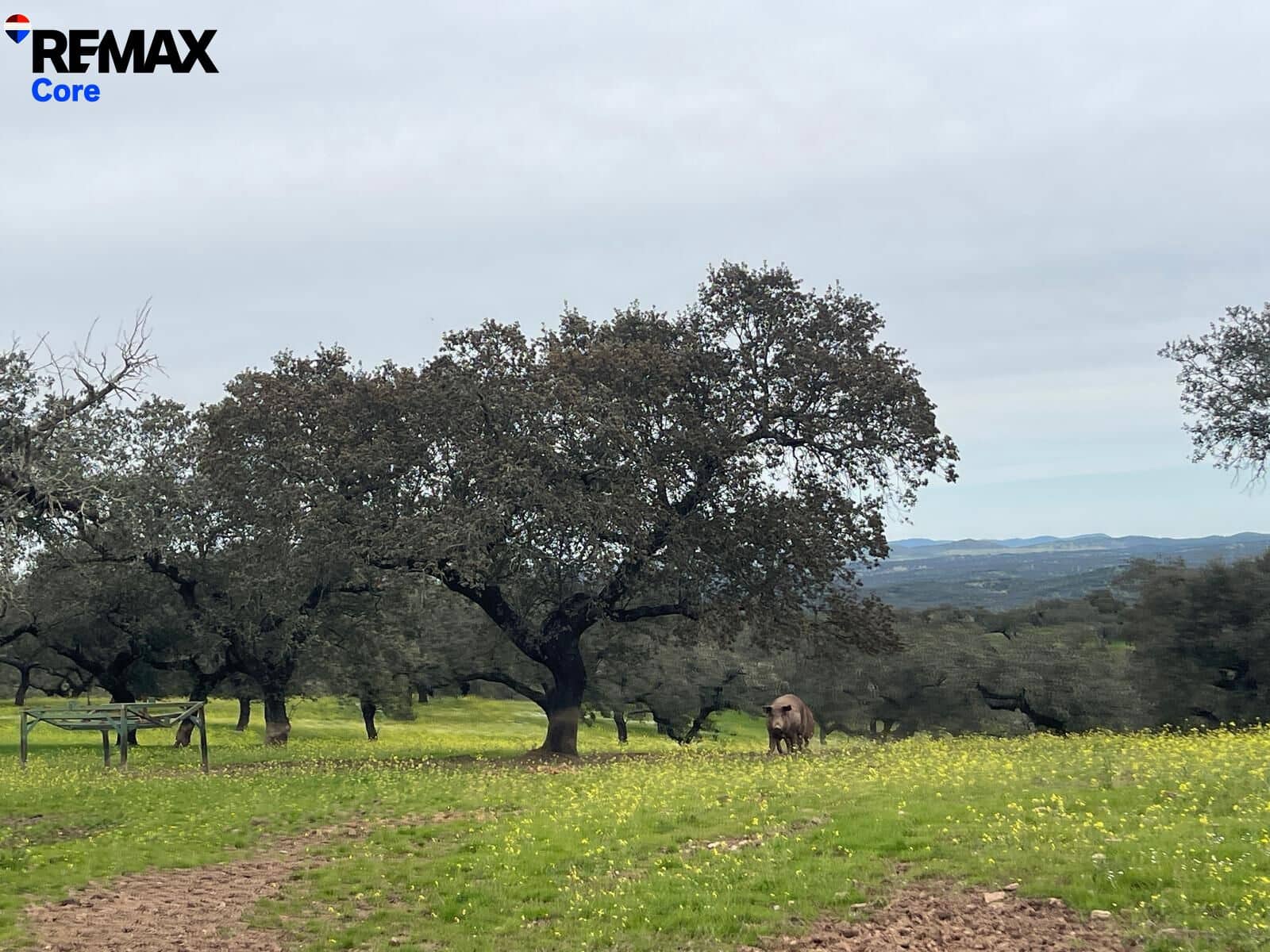 Ubebygd land til salgs i Alconchel - € 339 900 (Ref: 9659441)