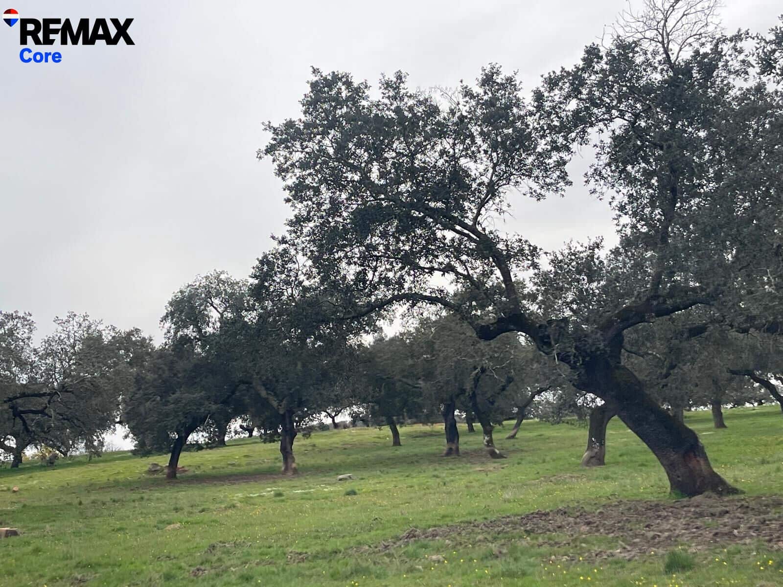 Ubebygd land til salgs i Alconchel - € 339 900 (Ref: 9659441)