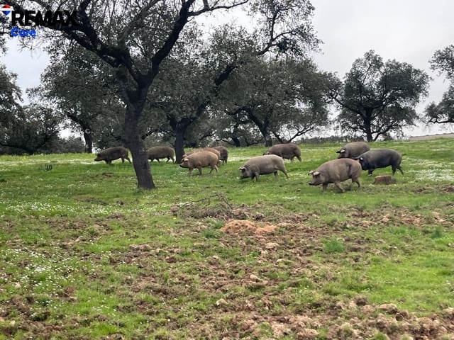 Grunde uden byggetilladelser til salg i Alconchel - € 339.900 (Ref: 9659441)