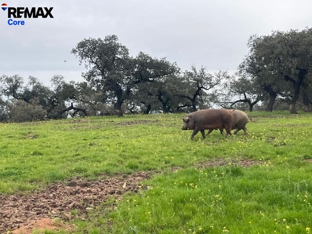 Grunde uden byggetilladelser til salg i Alconchel - € 339.900 (Ref: 9659441)