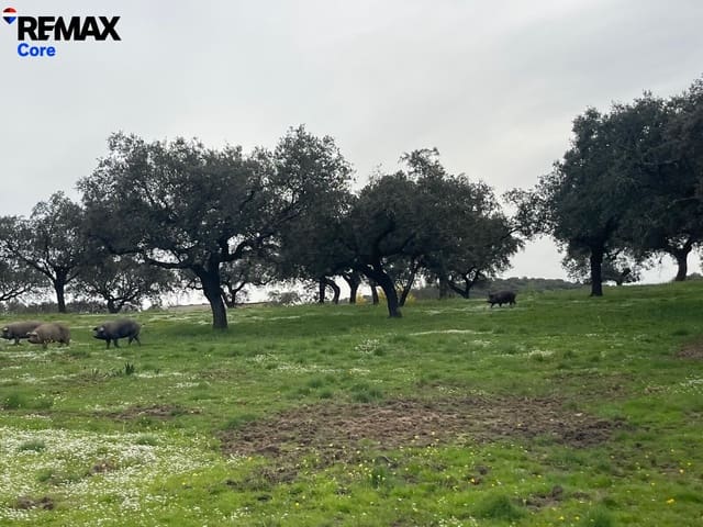 Grunde uden byggetilladelser til salg i Alconchel - € 339.900 (Ref: 9659441)