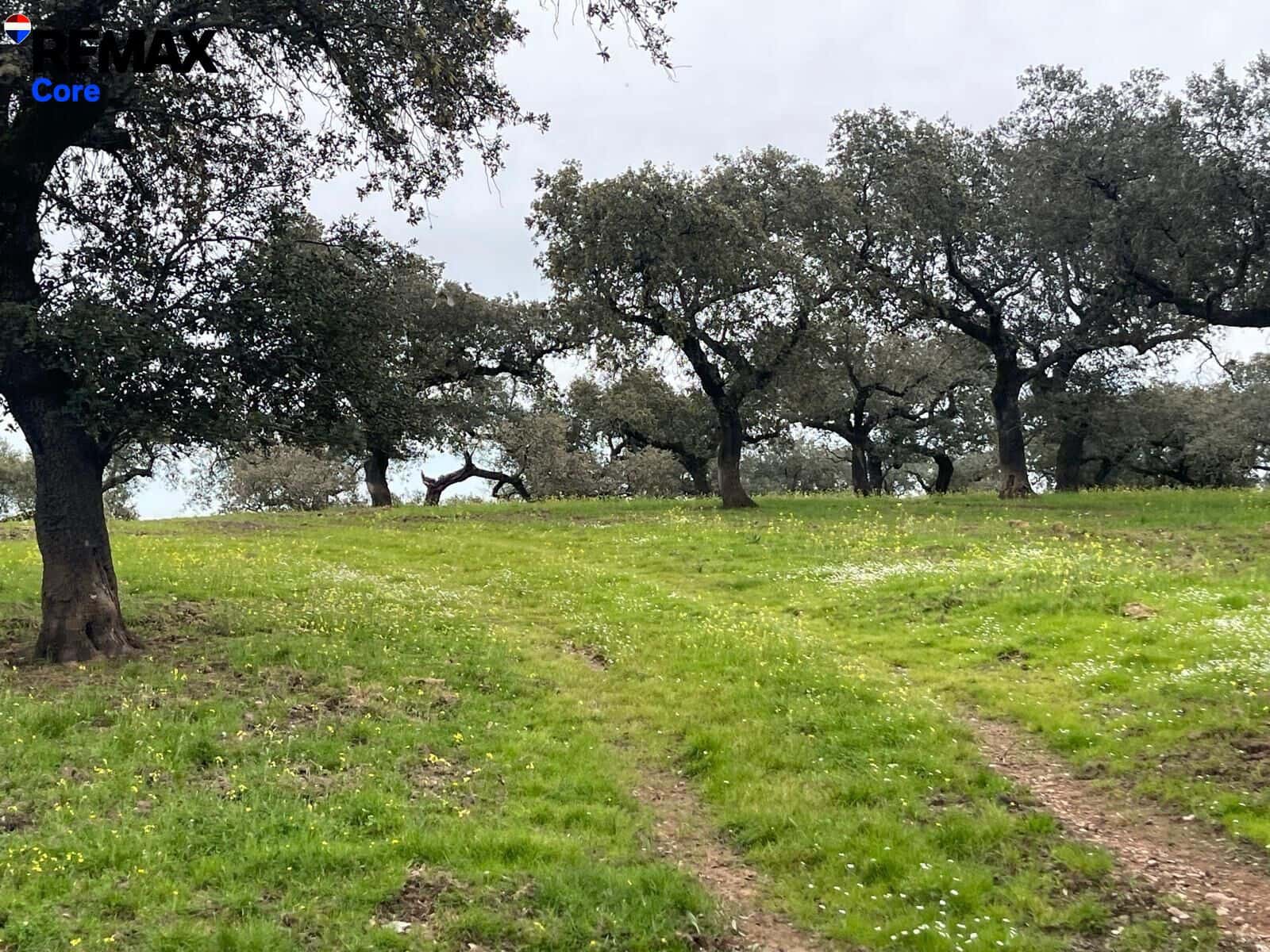 Ubebygd land til salgs i Alconchel - € 339 900 (Ref: 9659441)