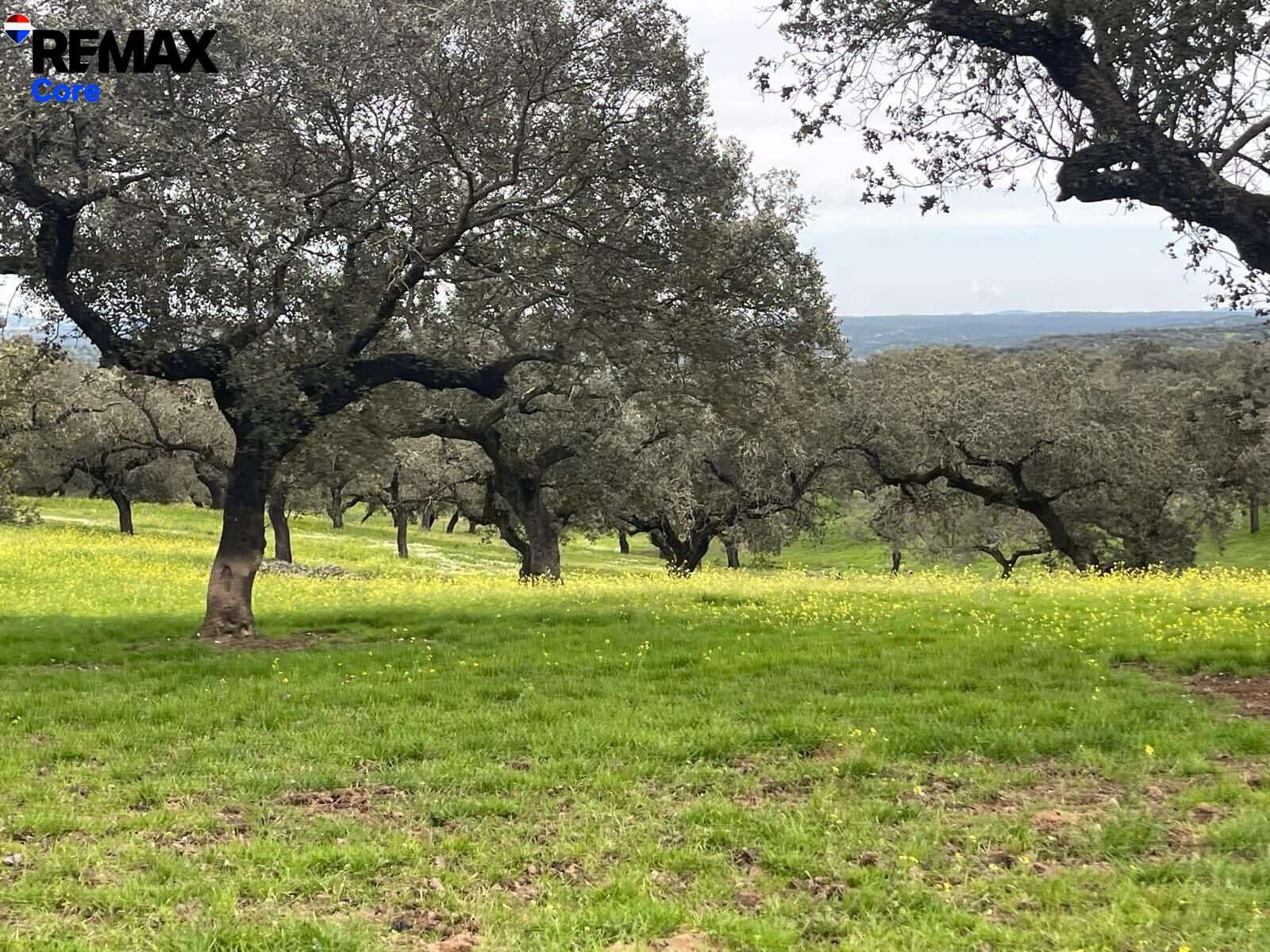 Ubebygd land til salgs i Alconchel - € 339 900 (Ref: 9659441)