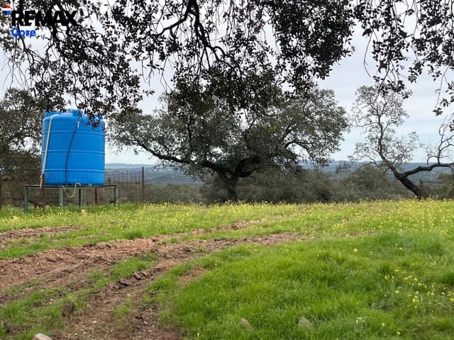 Grunde uden byggetilladelser til salg i Alconchel - € 339.900 (Ref: 9659441)