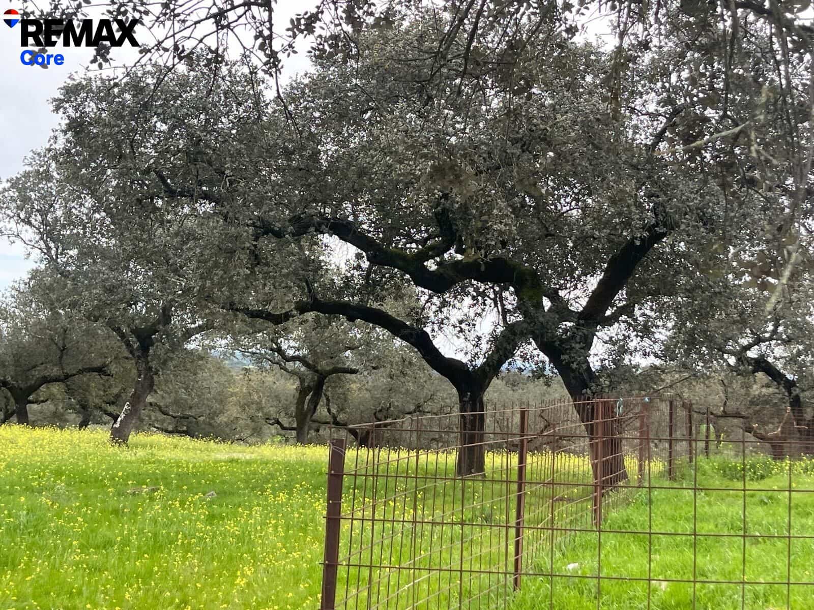 Ubebygd land til salgs i Alconchel - € 339 900 (Ref: 9659441)