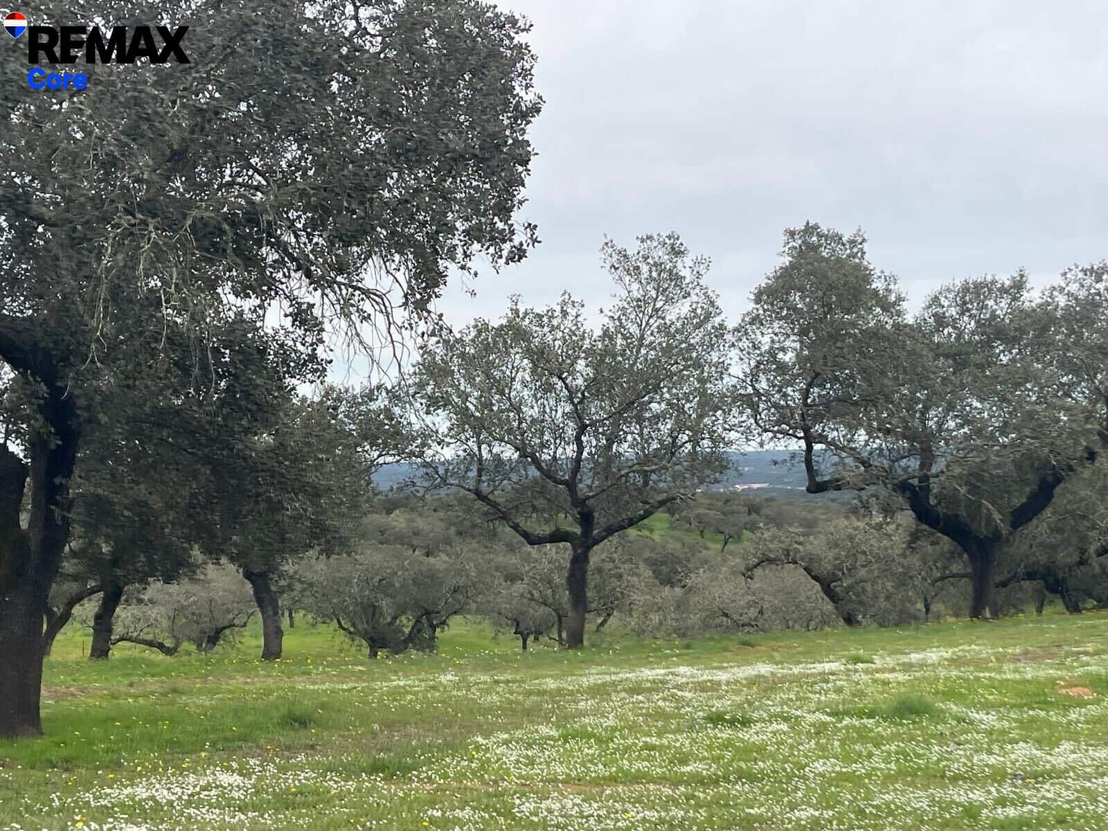 Ubebygd land til salgs i Alconchel - € 339 900 (Ref: 9659441)